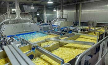 siemens-Farm-Frites-18