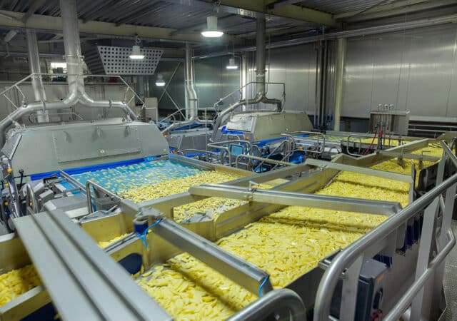 siemens-Farm-Frites-18