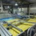 siemens-Farm-Frites-18