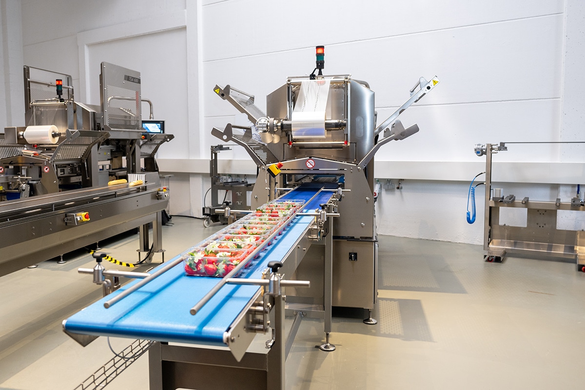 Observer les machines d'emballage à l'œuvre 9