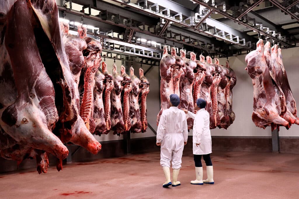 Stratégie de nettoyage optimale pour les abattoirs 1