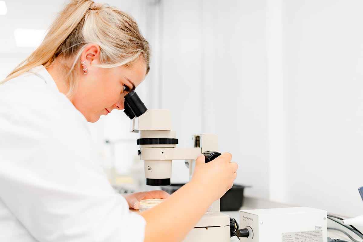 Validation sur papier ou validation réelle et ce que cela vous apporte 18