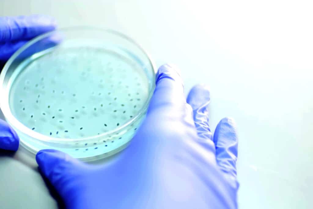 Le pourquoi et le comment des revêtements antibactériens 1