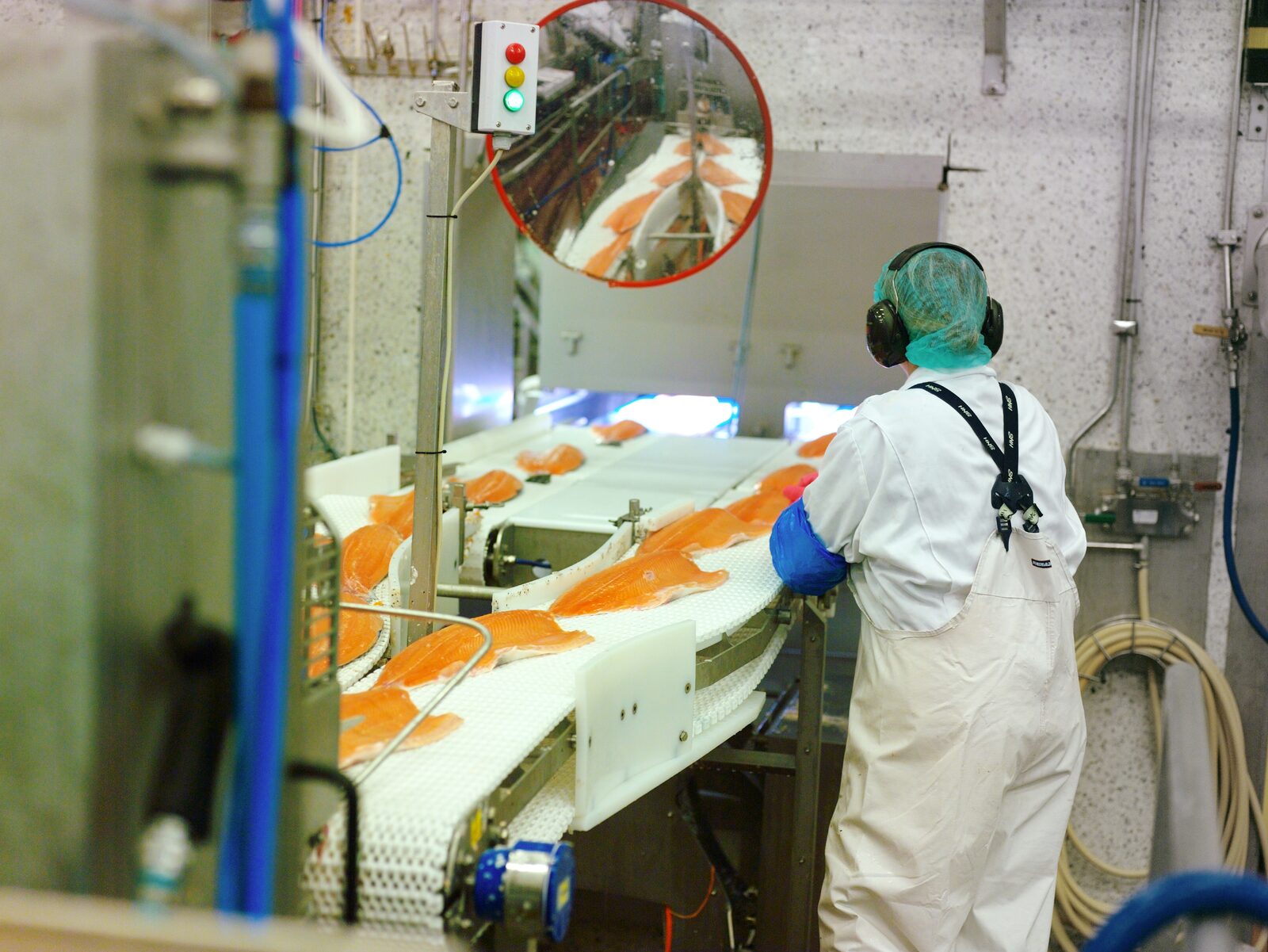 La méthode HACCP nécessite une réflexion critique permanente 2