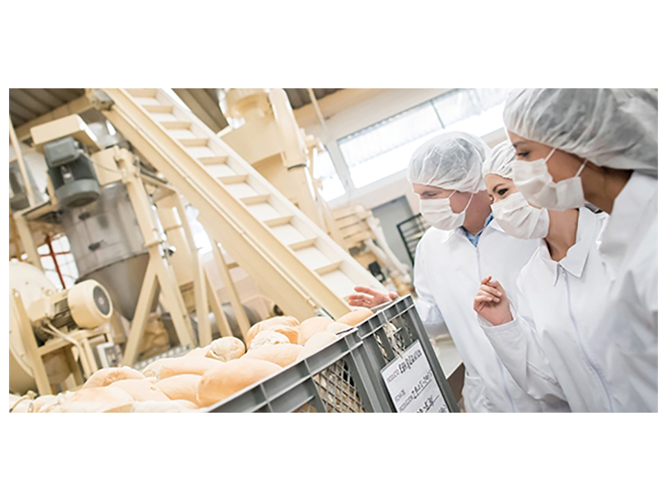 People working at a bread factory