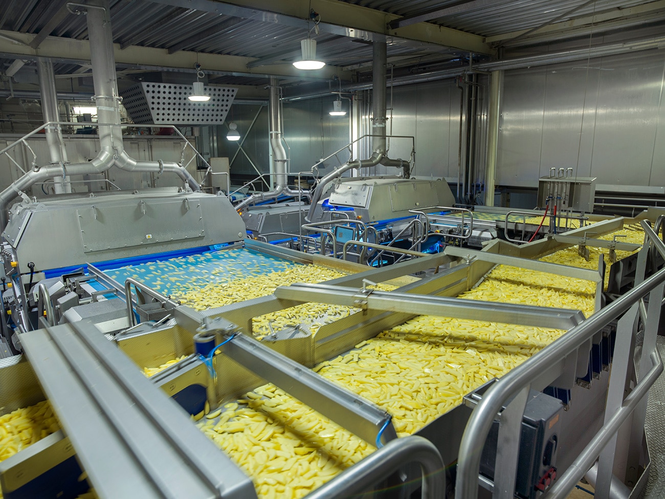 siemens-Farm-Frites-18