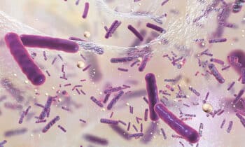 biofilms-2020-recurso
