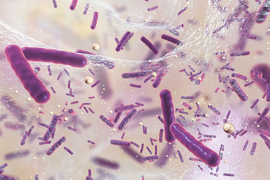 Alles wat je moet weten over biofilmcontrole