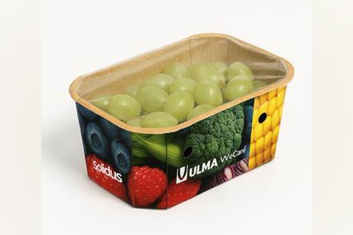 Recycleerbare verpakkingsoplossingen voor fruit 1