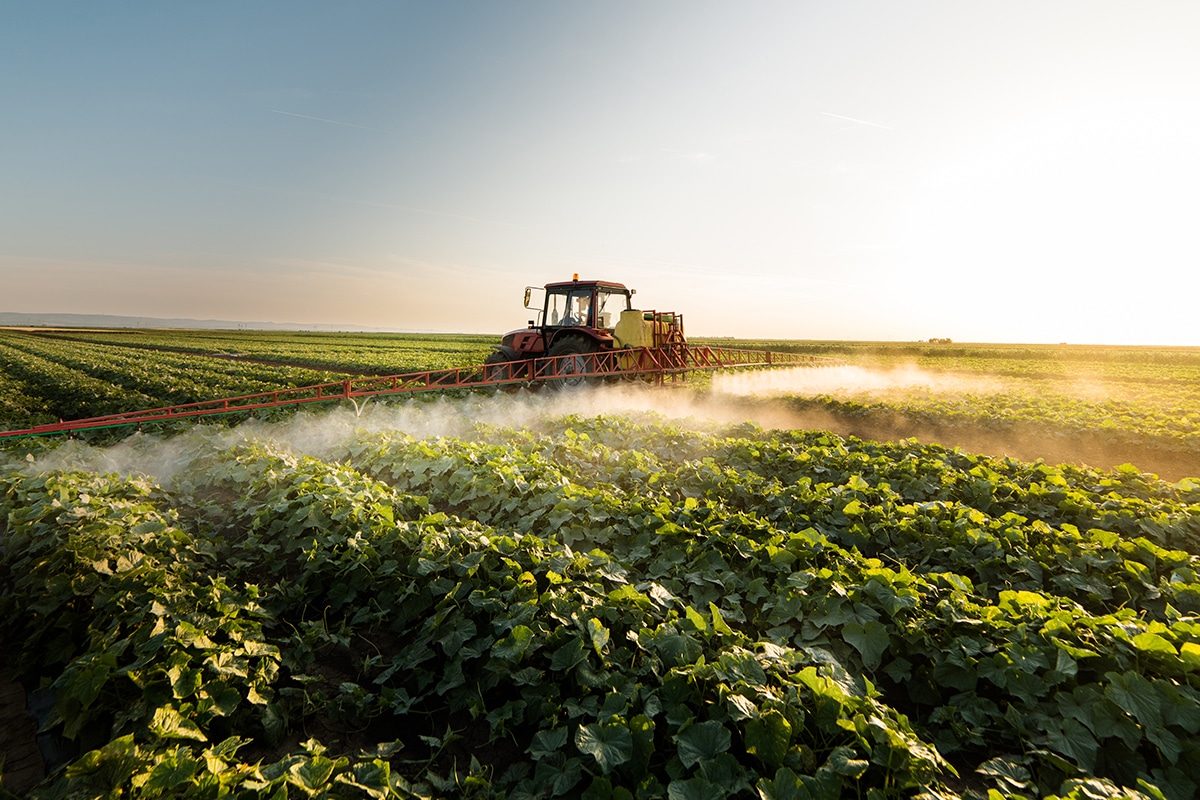 Residuen van pesticiden in voeding: wat is de situatie in Europa? 1