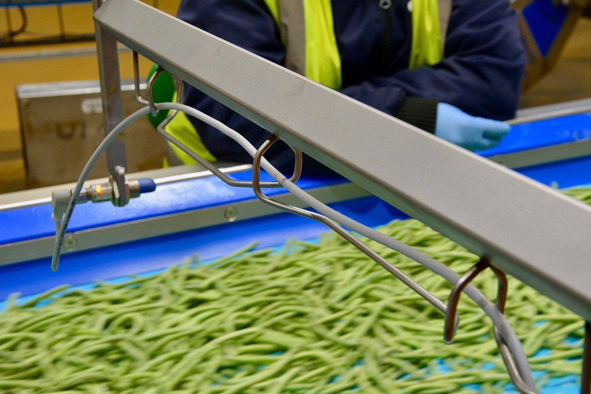 Voedselveilige montage van kabelgoten en kabelladders 3