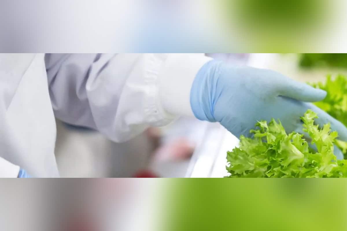 Wat is een voedselveiligheidsmanagementsysteem? 7