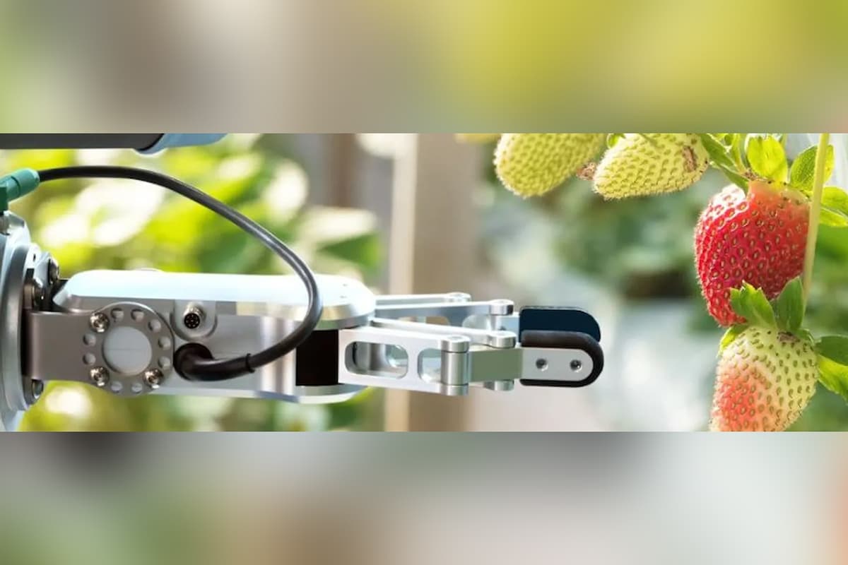 Wat zijn risico’s voor de voedselveiligheid? 4