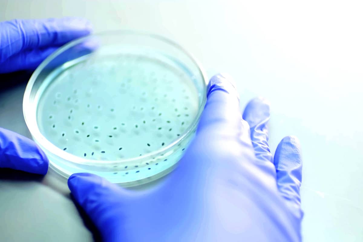 Het hoe en waarom van antibacteriële coatings 1